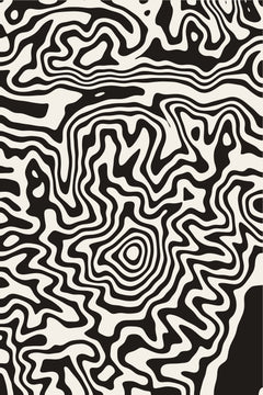 Mount Baker — Contour Wave