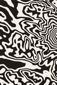 Mount Rainier — Contour Wave